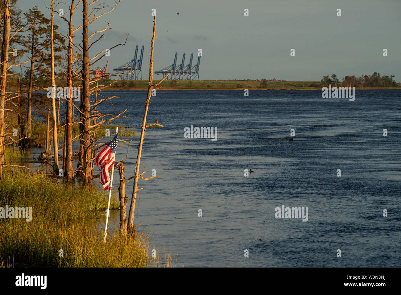 A torn flag stands on the Cape Fear River following Hurricane Florence, now tropical depression September 17, 2018 in Wilmington, North Carolina. Florence, is continuing to dump rain on North and South Carolina and the Cape Fear River Valley and other rivers will rise breaking record flood levels.     Photo by Ken Cedeno/UPI Stock Photo