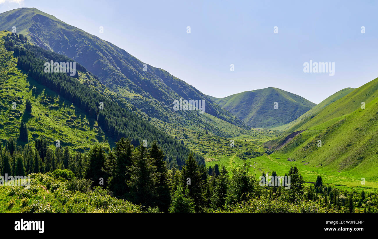 Panorama of the mountain valley in the summer. Amazing nature, mountains, lit by the sun in clear weather, summer in the mountains. Travel, tourism, b Stock Photo