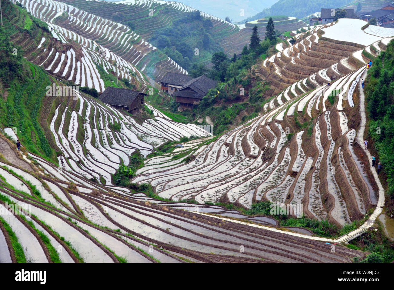 Dragon ridge terrace hi-res stock photography and images - Alamy