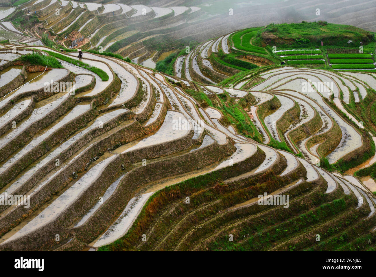 Guangxi dragon ridge terraces beautiful world Stock Photo - Alamy