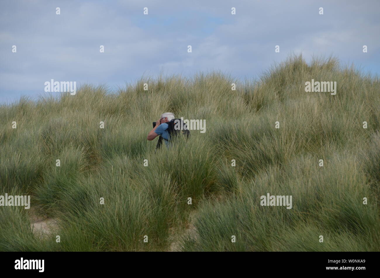 A top half of a photographer with a camera on a tripod, standing in the long grass, waiting for a photo opportunity. Stock Photo