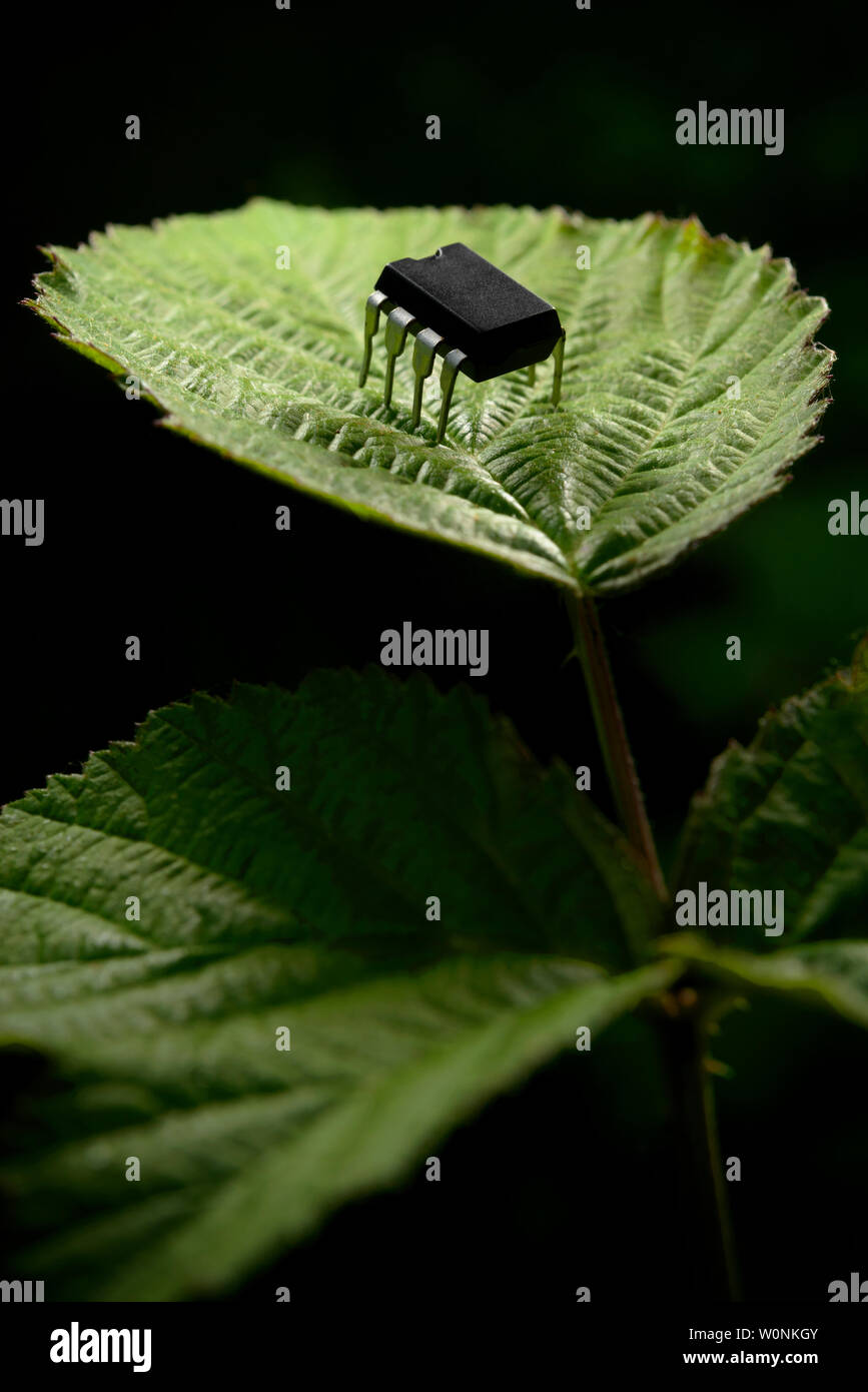 Electronic entity over a plant leaf Stock Photo