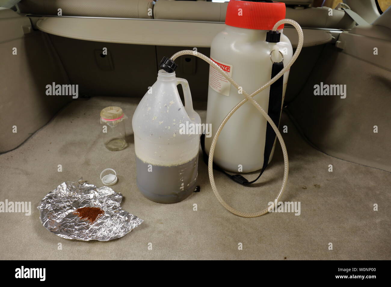 Supplies and chemicals used to manufacture methamphetamine in the back of a vehicle Stock Photo
