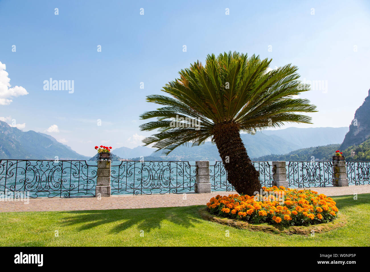 Promenade with orange flowers in park and palm trees on the shore, Lake Como, Menaggio, Lombardy region, Northern Italy, Europe Stock Photo