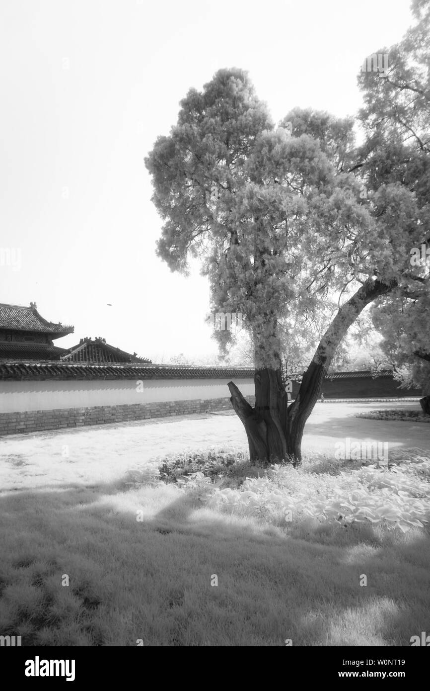 Infrared black and white, filming the altar of heaven Stock Photo - Alamy