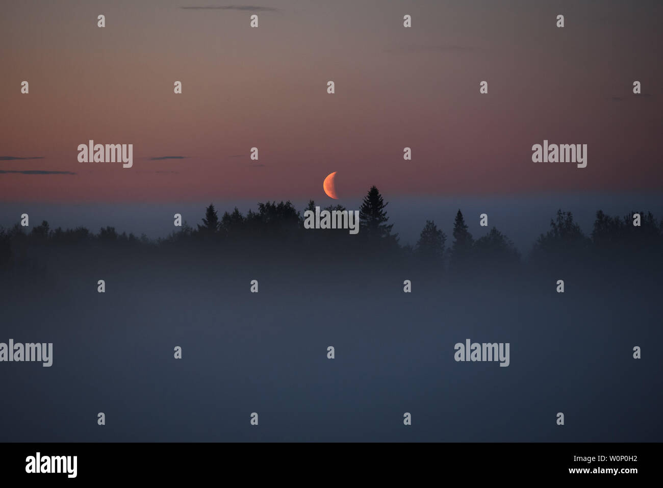 Field fog moon scary hi-res stock photography and images - Alamy