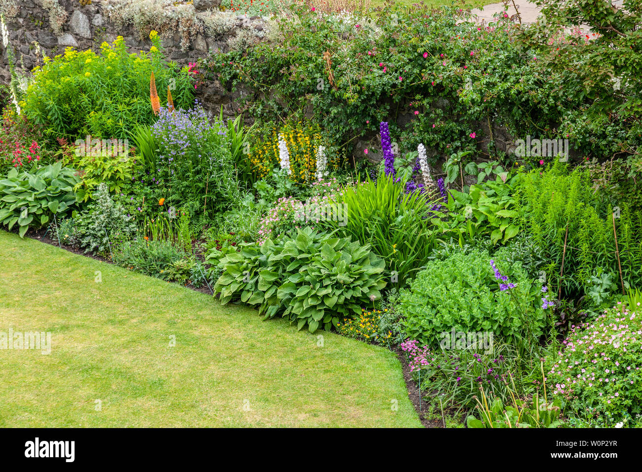 Detail of a herbaceous border Stock Photo - Alamy