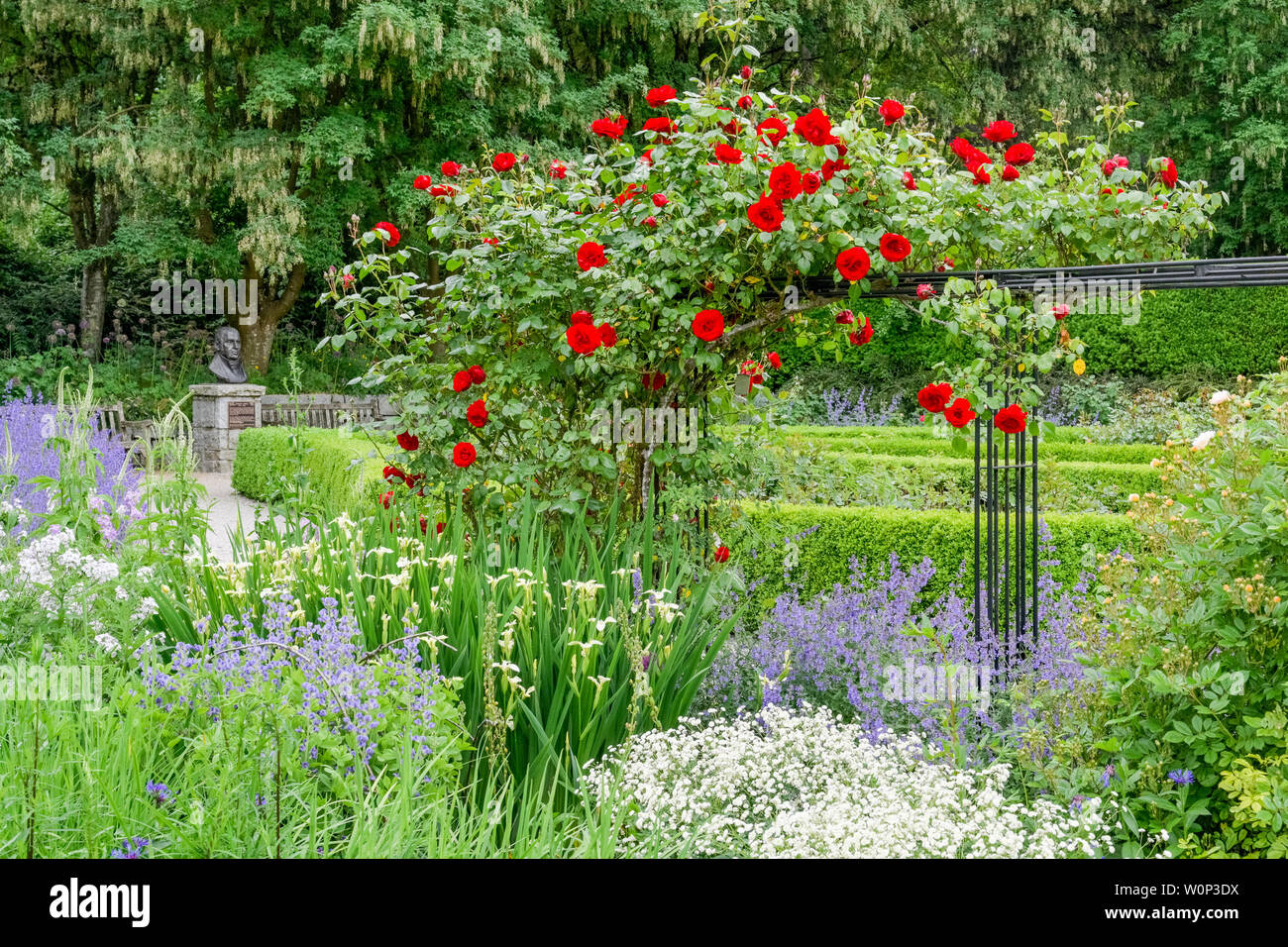Roses arbor garden trellis hi-res stock photography and images - Alamy