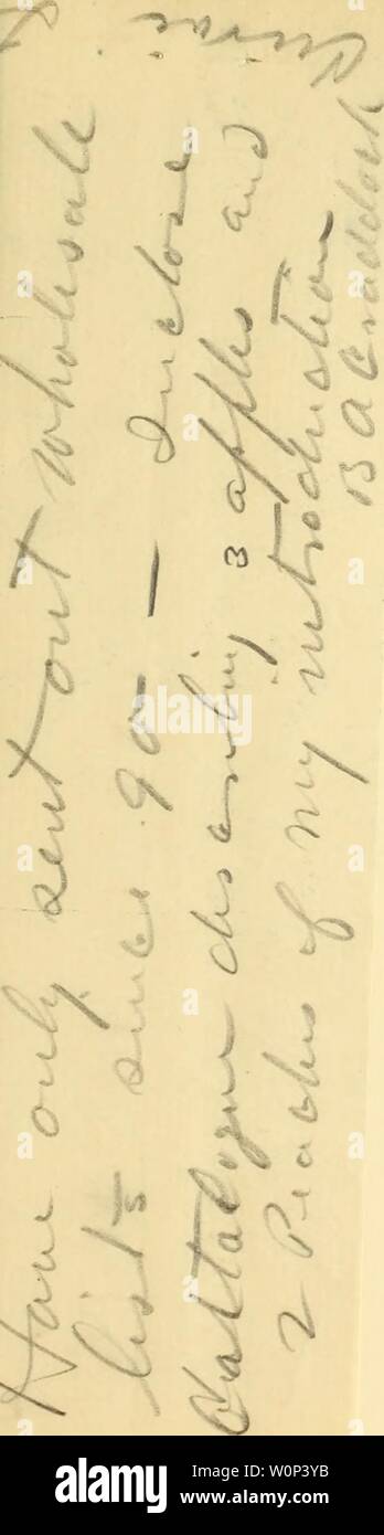 Archive image from page 4 of Descriptive catalogue and price list. Descriptive catalogue and price list of fruit trees and plants, evergreen trees, roses, etc. descriptivecatal1890fork Year: 1890 Stock Photo