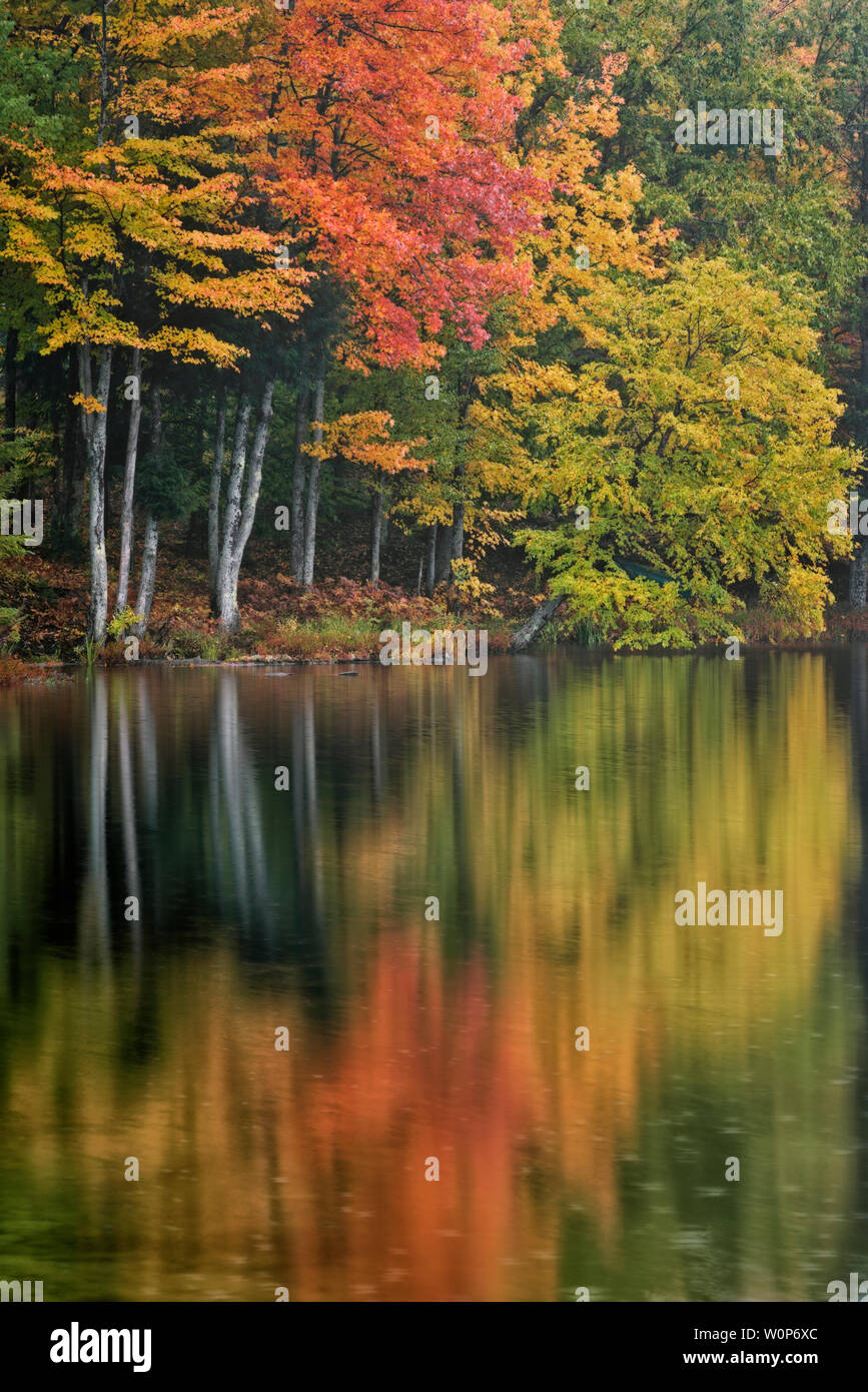 Autumn morning reflection of the Hiawatha National Forest at Ackerman Lake in Michigan’s Upper Peninsula. Stock Photo