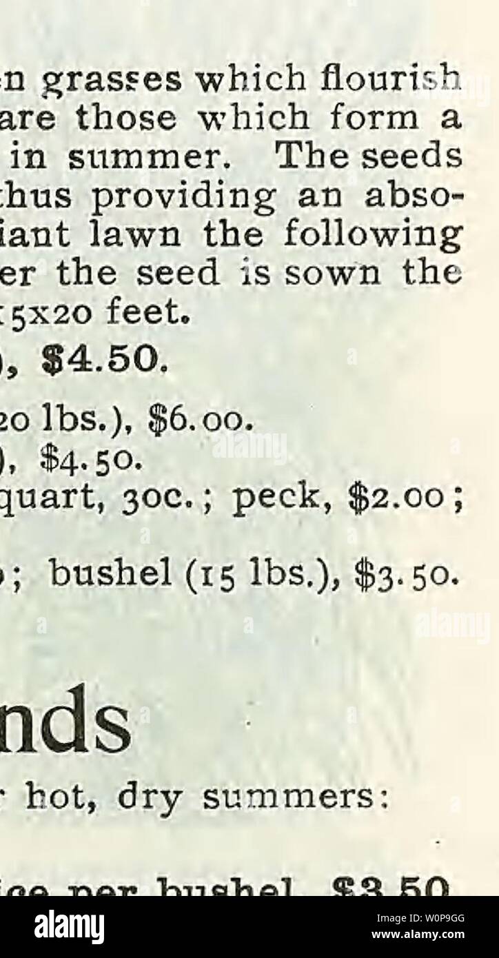 Archive image from page 26 of Descriptive catalogue of vegetable, flower,. Descriptive catalogue of vegetable, flower, and farm seeds Descriptivecata00WeebE Year: 18uu  MEADOW FOXTAIL, MEADOW FESCUE (Festuca Pratensis). . A valu- able grass for permanent pastures; very productive and nutritious. Per lb., 25c. RED OR CREEPING FESCUE (Festuca Rubra). Val- uable for lawns. Per lb., 35c. SHEEP FESCUE (Festuca Ovina). An excellent grass for sheep pastures. Per lb., 25c. ENGLISH RYE GRASS (Lolium Perenne). A very nutritious, rapid-growing variety; valuable for meadows and pastures. Per bushel (24 lb Stock Photo