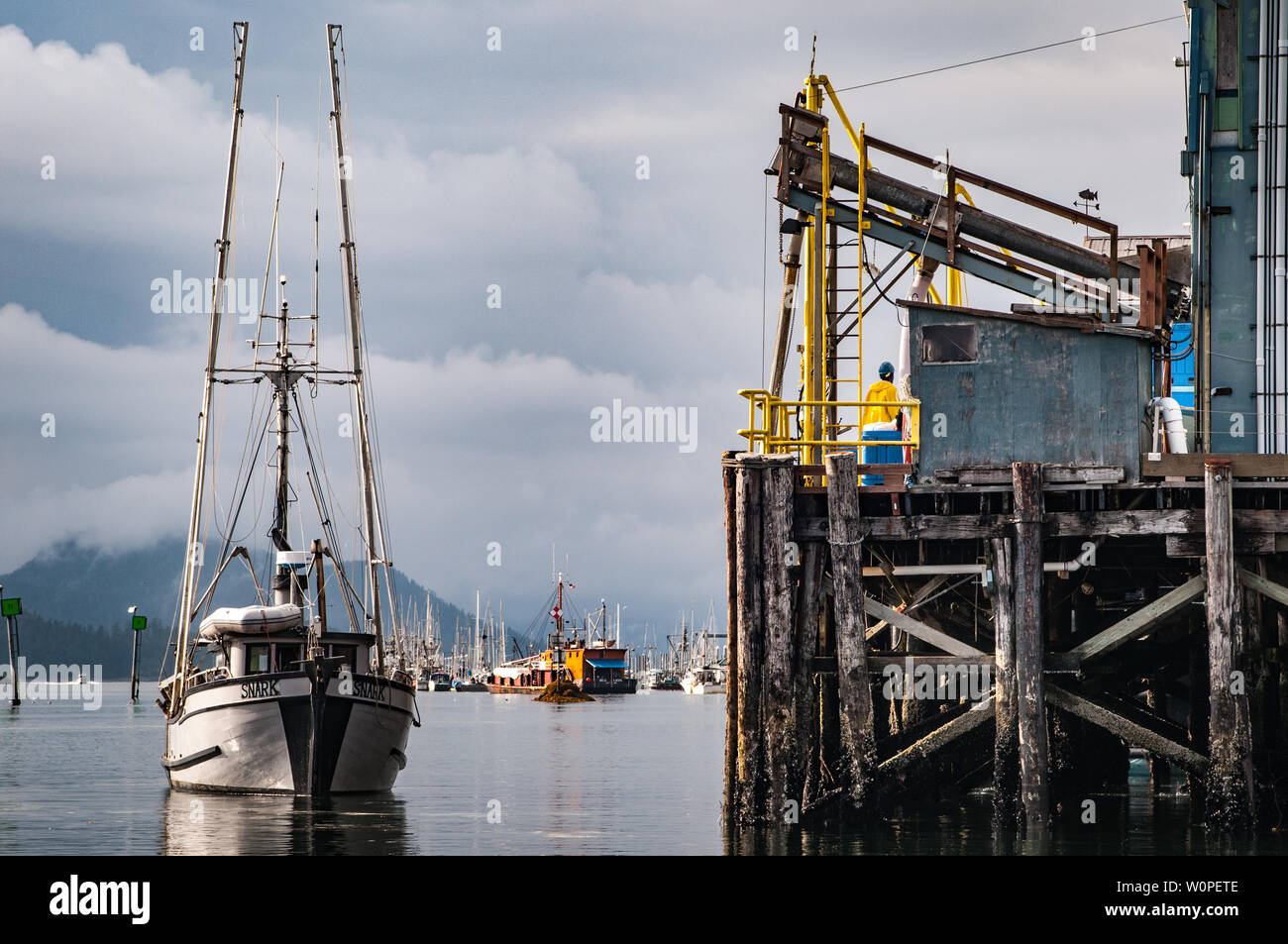 Commercial fishing, Sitka, Alaska Stock Photo Alamy