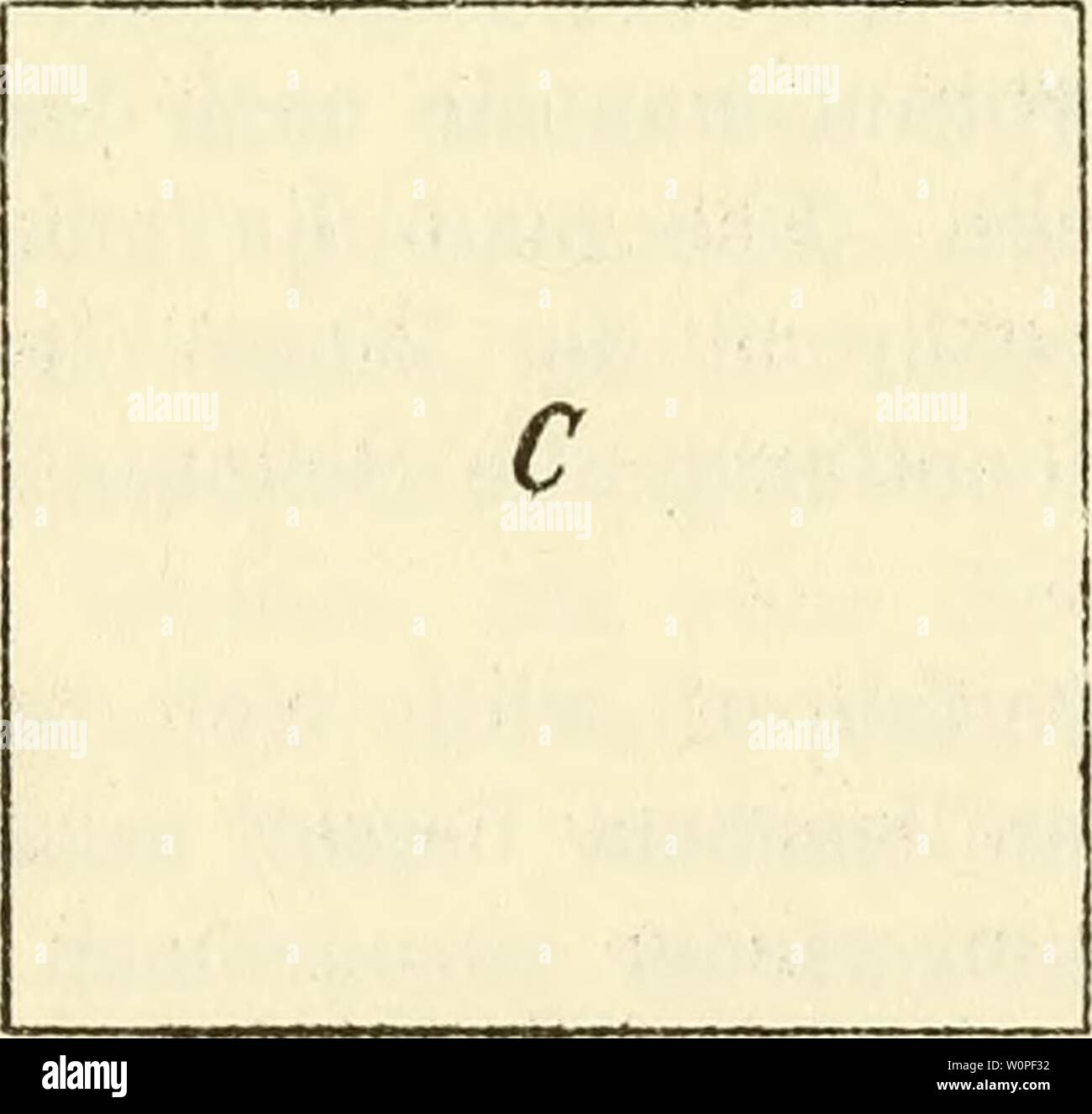 C Engl High Resolution Stock Photography And Images Alamy