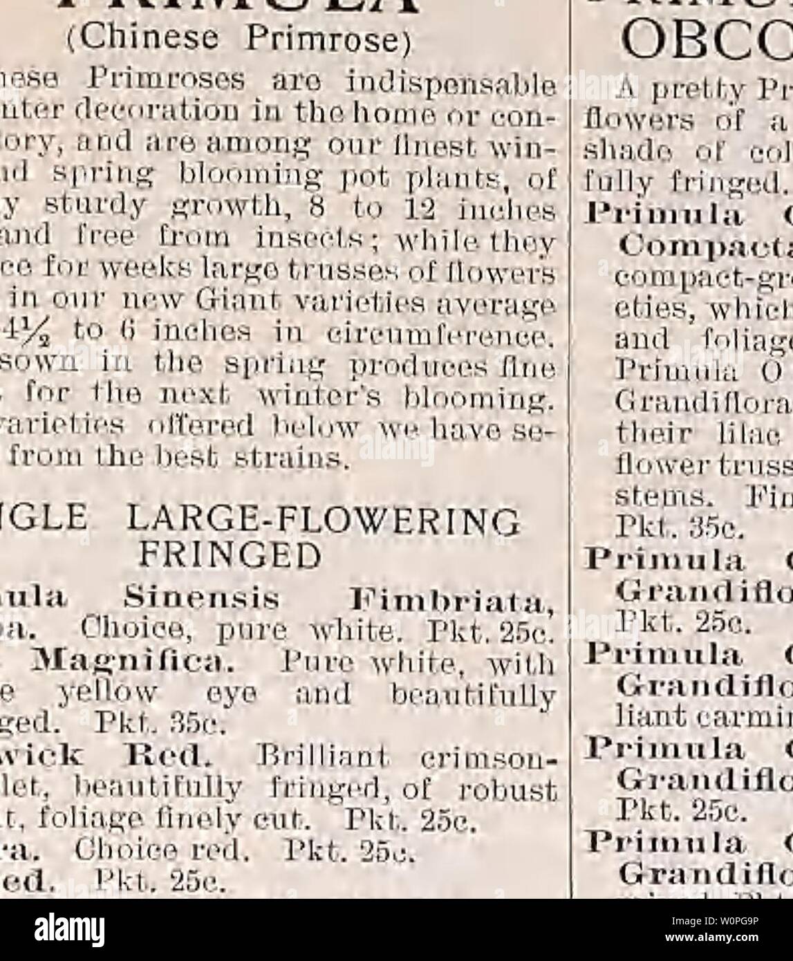 Archive image from page 60 of Descriptive catalogue of vegetable, flower,. Descriptive catalogue of vegetable, flower, and farm seeds Descriptivecata00Weeb Year: 18uu  Flower Seeds WEEBER & DON    SALVIA SrLKJIDEXS ROCKET Sweefc, A very interesting, usefid and free-flowering plant. Blooming early, it remains beautiful for a long lime in beds, ribbons, etc. H. P. Finest Mixed, iy. It. Pkf.5e.,oz. 20e. ROSA HYBRI DA G R A N tf I - FLORA (Hybrid Perpetual Roses). 'Will produce flowering plants in about six months from time of sowing. They are perfectly hardy, double and very fragrant. Pkt. 50c. R Stock Photo