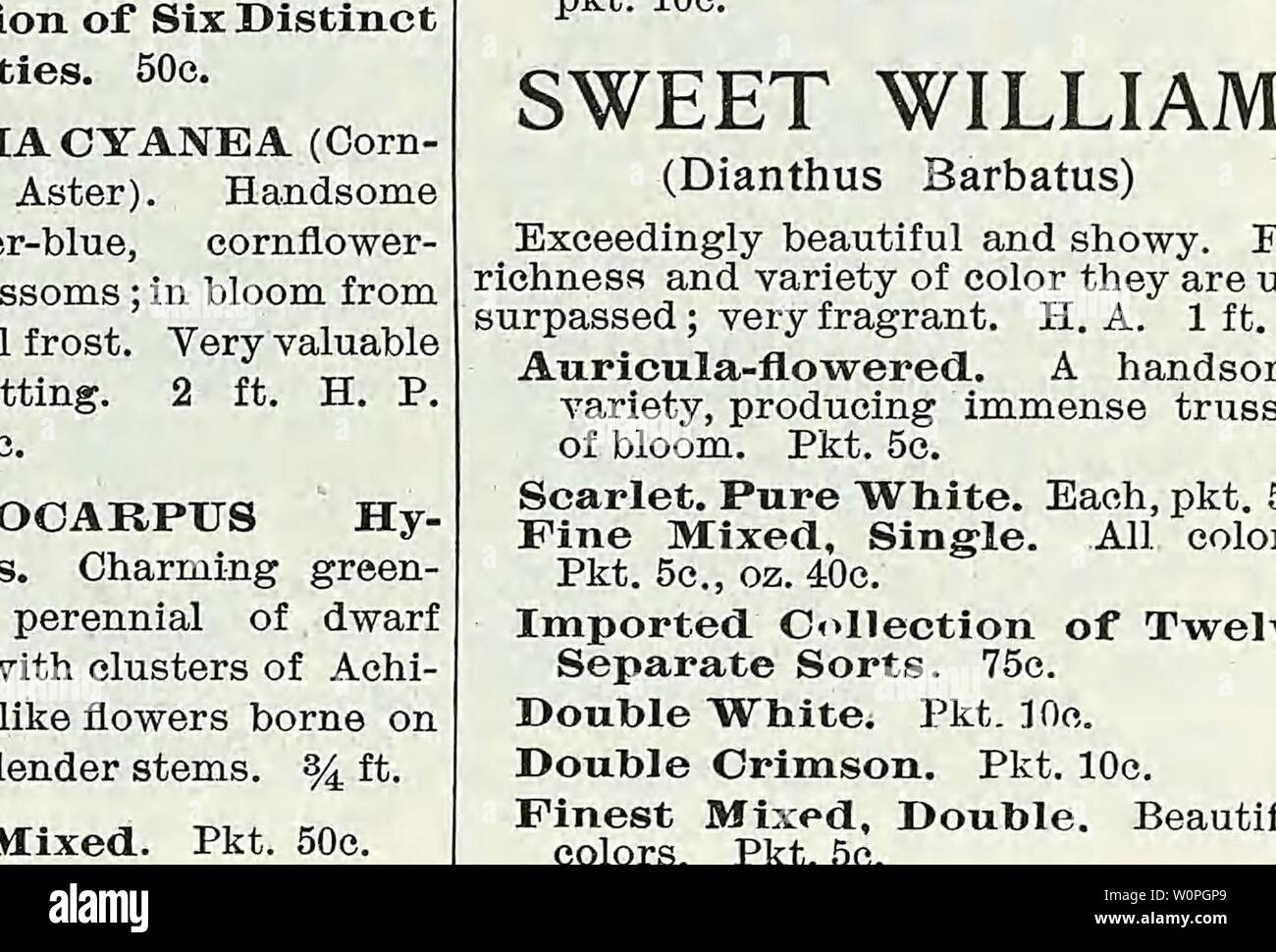 Archive image from page 62 of Descriptive catalogue of vegetable, flower,. Descriptive catalogue of vegetable, flower, and farm seeds Descriptivecata00WeebA Year: 18uu  VINCA ROSEA VIOLET (Viola). Well-known plants, suitable for edgings, groups or mixed bor- ders. V. odorata is highly prized for its fragrance. V. eor- nuta is a highly ef- fective garden plant, admired for its rich blue flowers. H. P. ft. Cornuta. Delicate blue. Pkt. 10c. Odorata Semper- florens I Sweet- Scented Violet). Pkt. 10c. VIRGINIAN STOCK. Charming dwarf, free-flowering plants, extremely effective in small beds, baskets Stock Photo