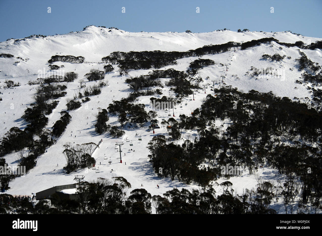 thredbo nsw australia Stock Photo Alamy