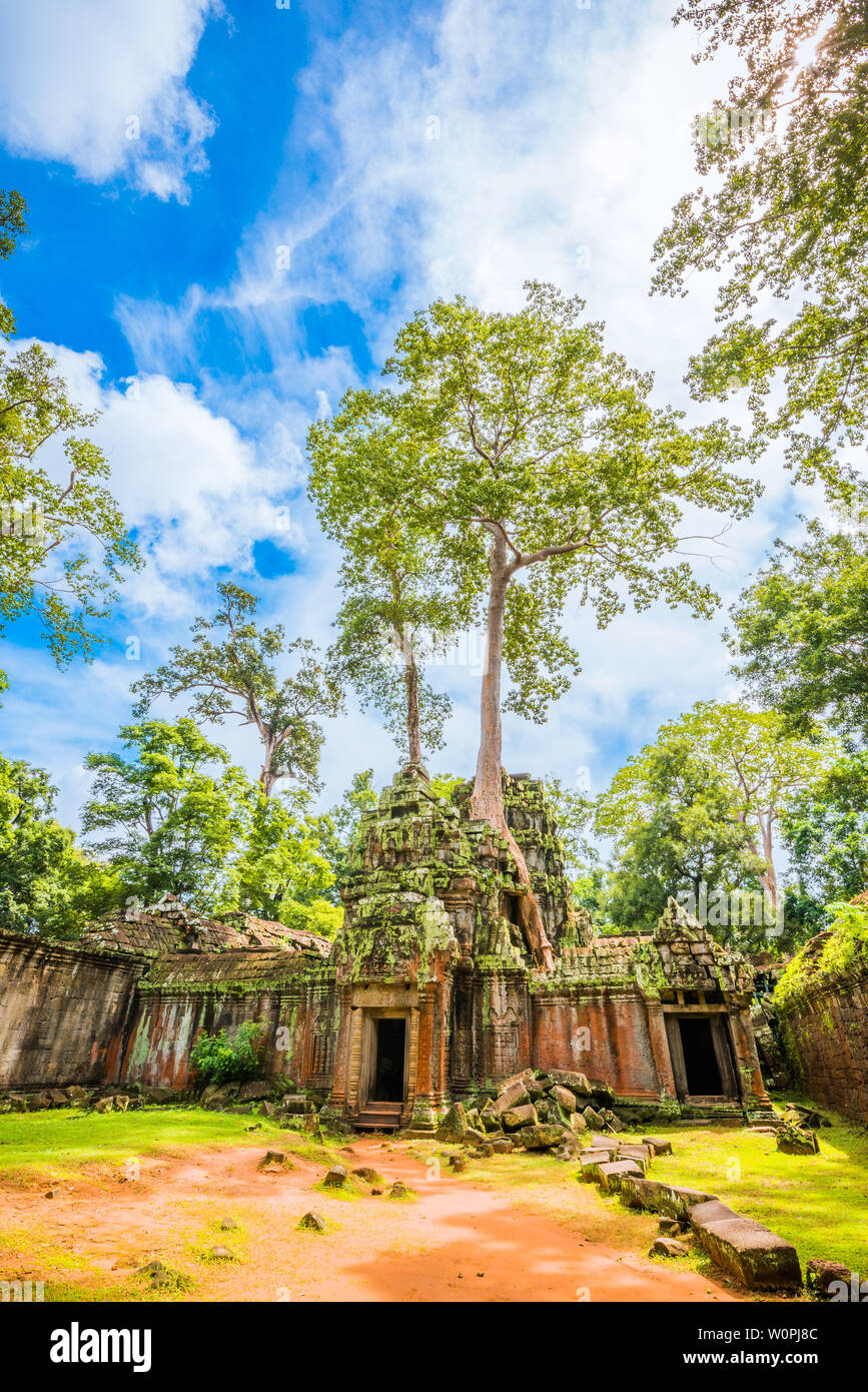 Ancient trees symbiotic with ruins in the ruins of Tablon Temple in Angkor Wat, Cambodia Stock Photo