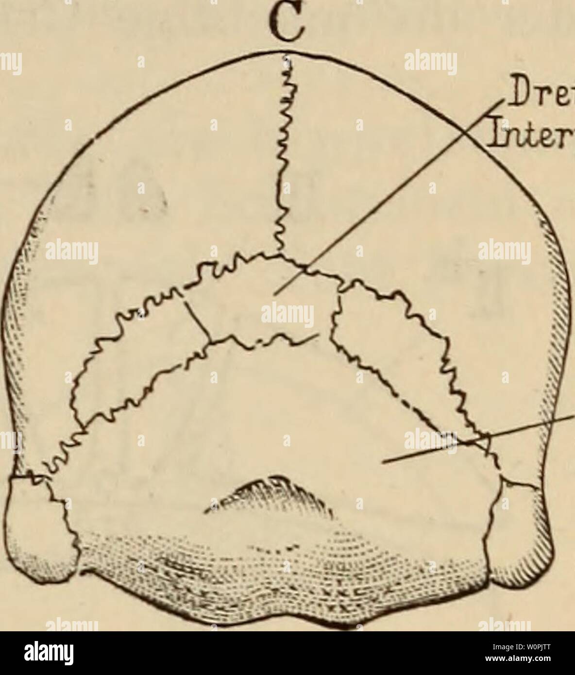 Vergangenheit D Stock Photos Vergangenheit D Stock Images - 