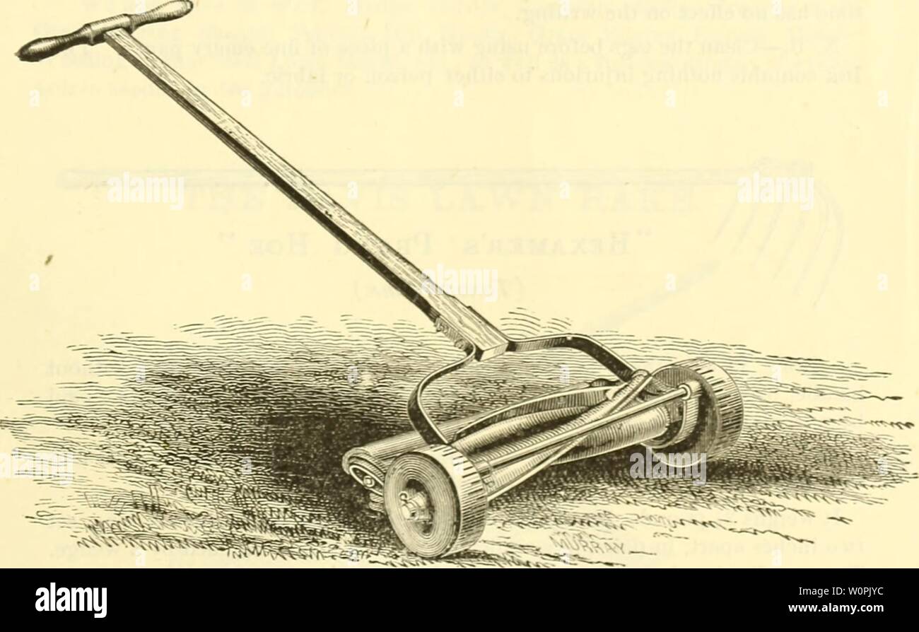Archive image from page 74 of Descriptive catalogue of choice farm,. Descriptive catalogue of choice farm, garden and flower seeds, roots, plants and garden requisites descriptivecatal1881rhal Year: 1881  WISS'POLE PRUNING SHEARS. These shears are to be attac hed to a pole, and are operated by means of the shear lever, through which the cord runs over a small pulley, as shown in the cut. It enables a person standing on the ground to prune trees, some of the branches of which could not, perhaps, be as well pruned by any other instrument. Branches of one inch or more in diameter may be easily cu Stock Photo