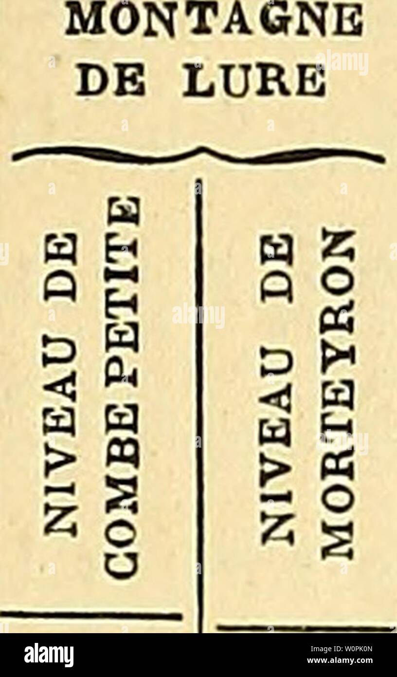 Archive image from page 74 of Description des ammonitides du Barrémien. Description des ammonitides du BarrÃmien du Djebel-Ouach descriptiondesam00sayn Year: 1890  AMM0NIT1DES DU BARREMIEN 71 28 Desmoceras Angladei nov. sp 29 â Getulinum Goquand. 30 â Cirtense nov. sp. . . 31 Silesites Seranonis d'Orb. 32 â sp. ind 33 â cfr. vulpes Coquand, 34 Holcodiscus Gastaldii d'Orb. 35 â diverse- costatus Coquan 36 â Gerofiimx Hermite. . 37 â algirus nov. sp. . . 38 â menglonensis. . . . 39 â astieriformis nov. sp 40 â Sophonisba Goquand. 41 â affr. Sophonisba. . . A2 â nov. sp. ind. . . . 43 â affr. dru Stock Photo