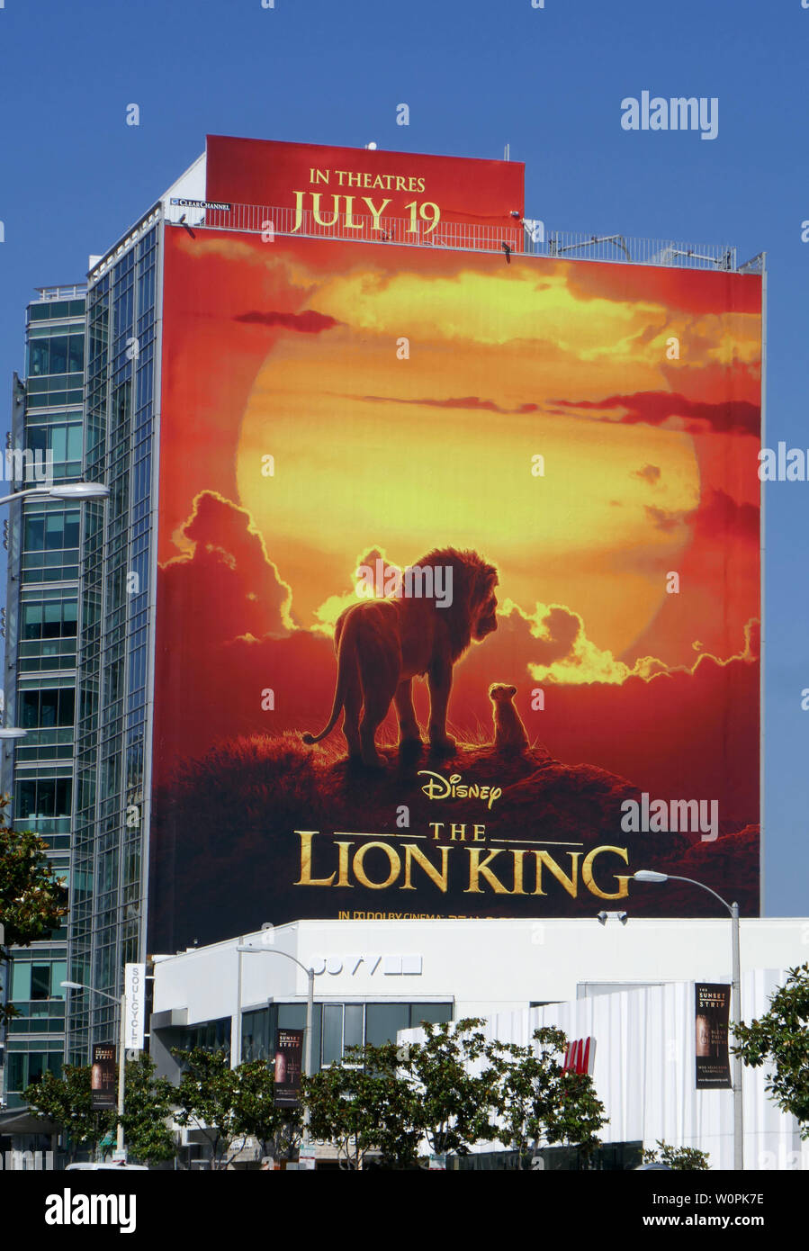The Lion King Angeles Los Angeles The Architecture of Emotion: Why Soundtracks Define Cinema
