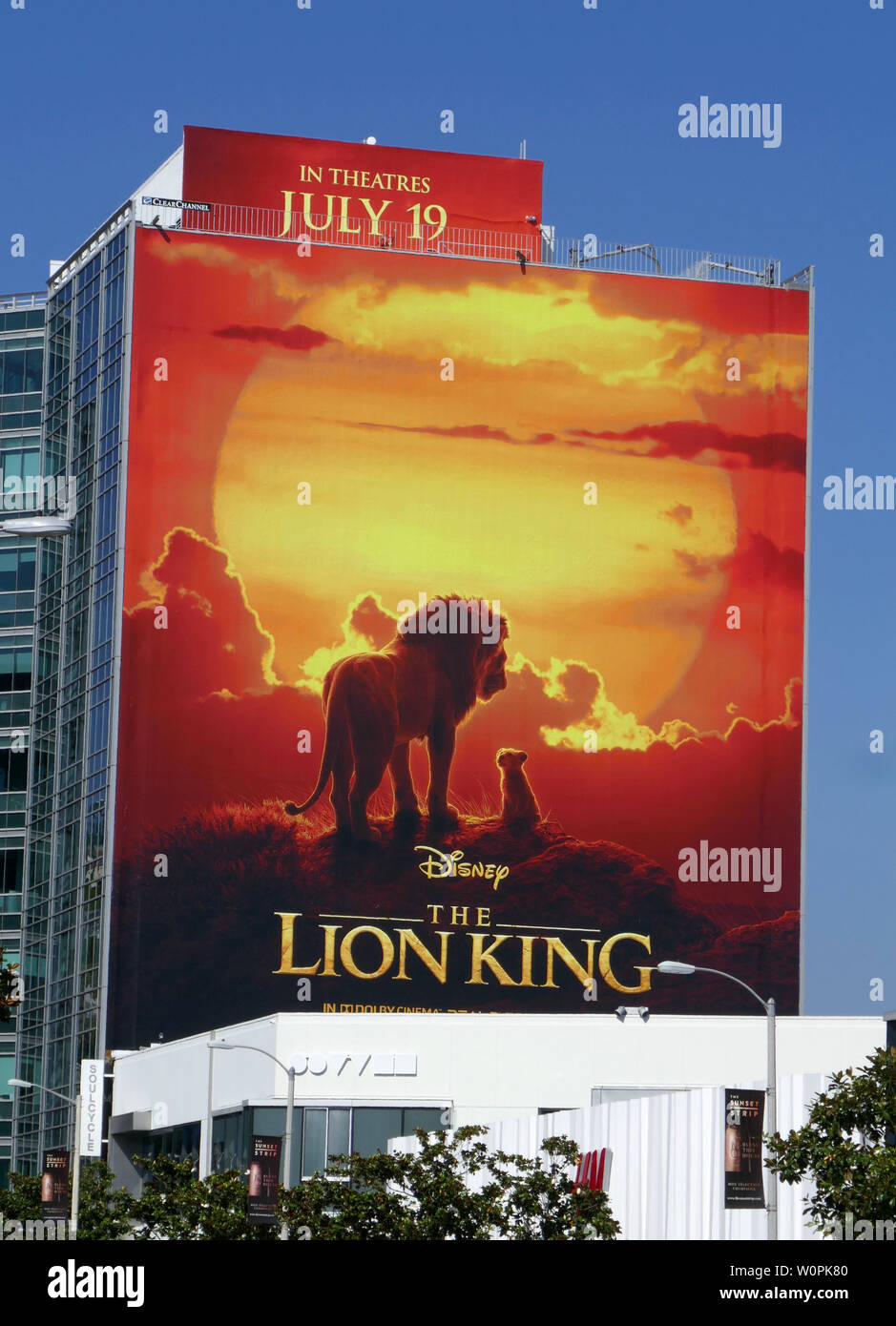The Lion King 19 Simba Hi Res Stock Photography And Images Alamy