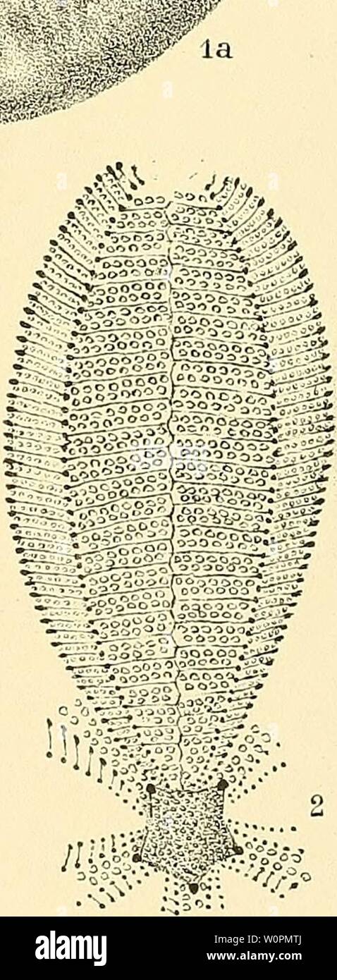 Jmo High Resolution Stock Photography And Images Page 2 Alamy