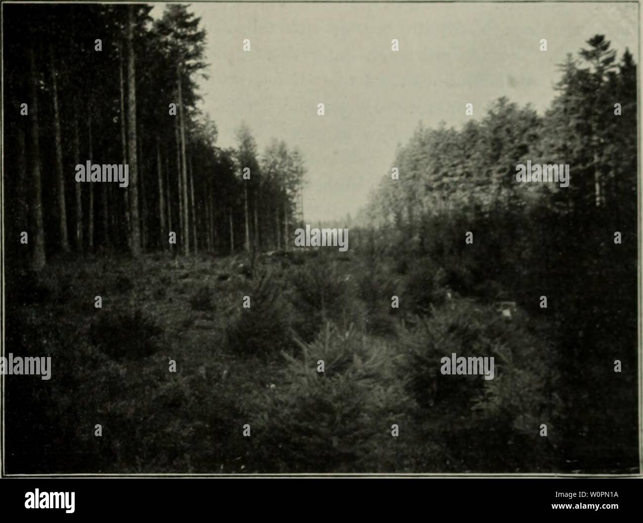Ficht High Resolution Stock Photography and Images - Alamy