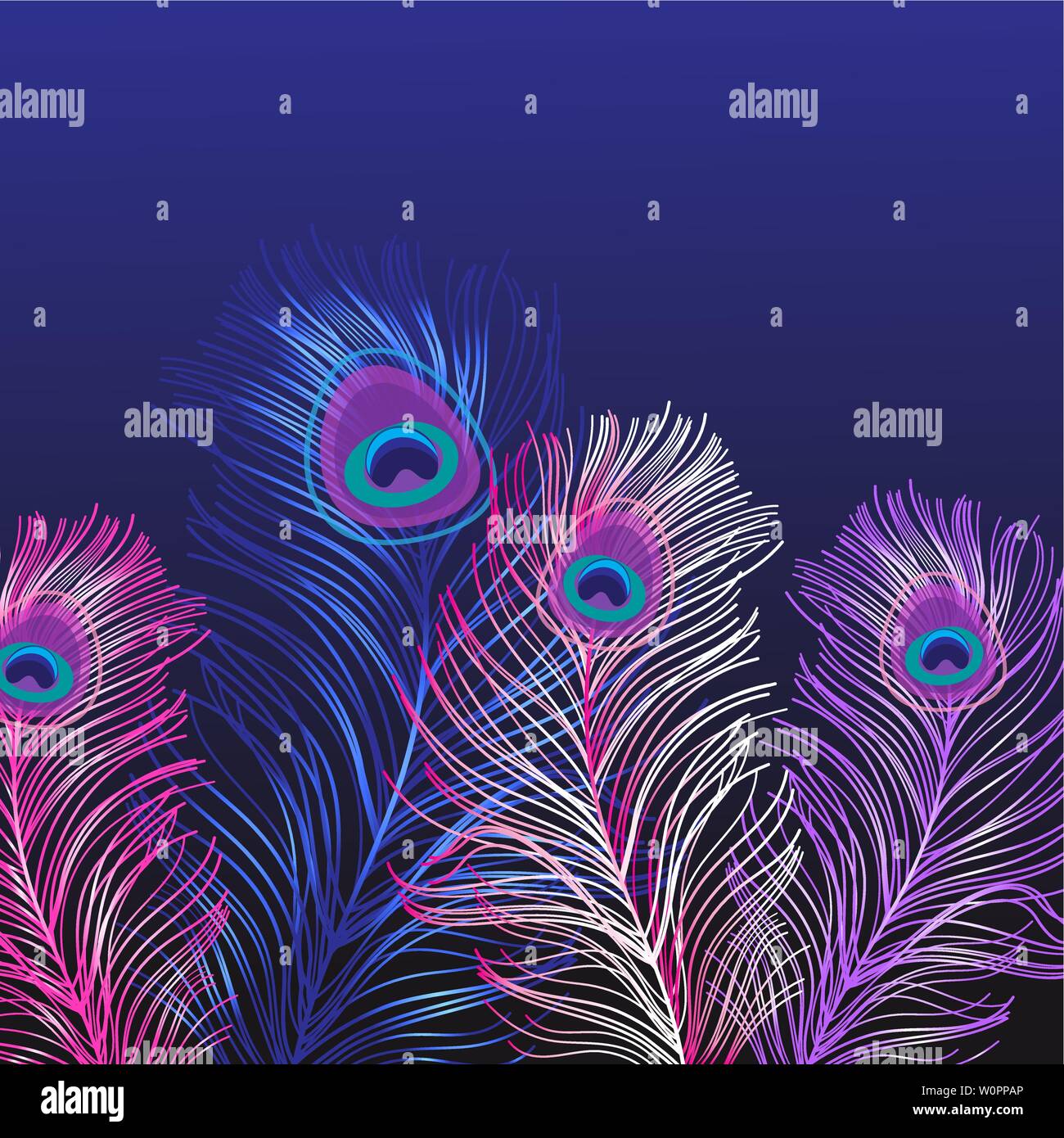 Beautiful background of multicolored peacock feathers. Template for