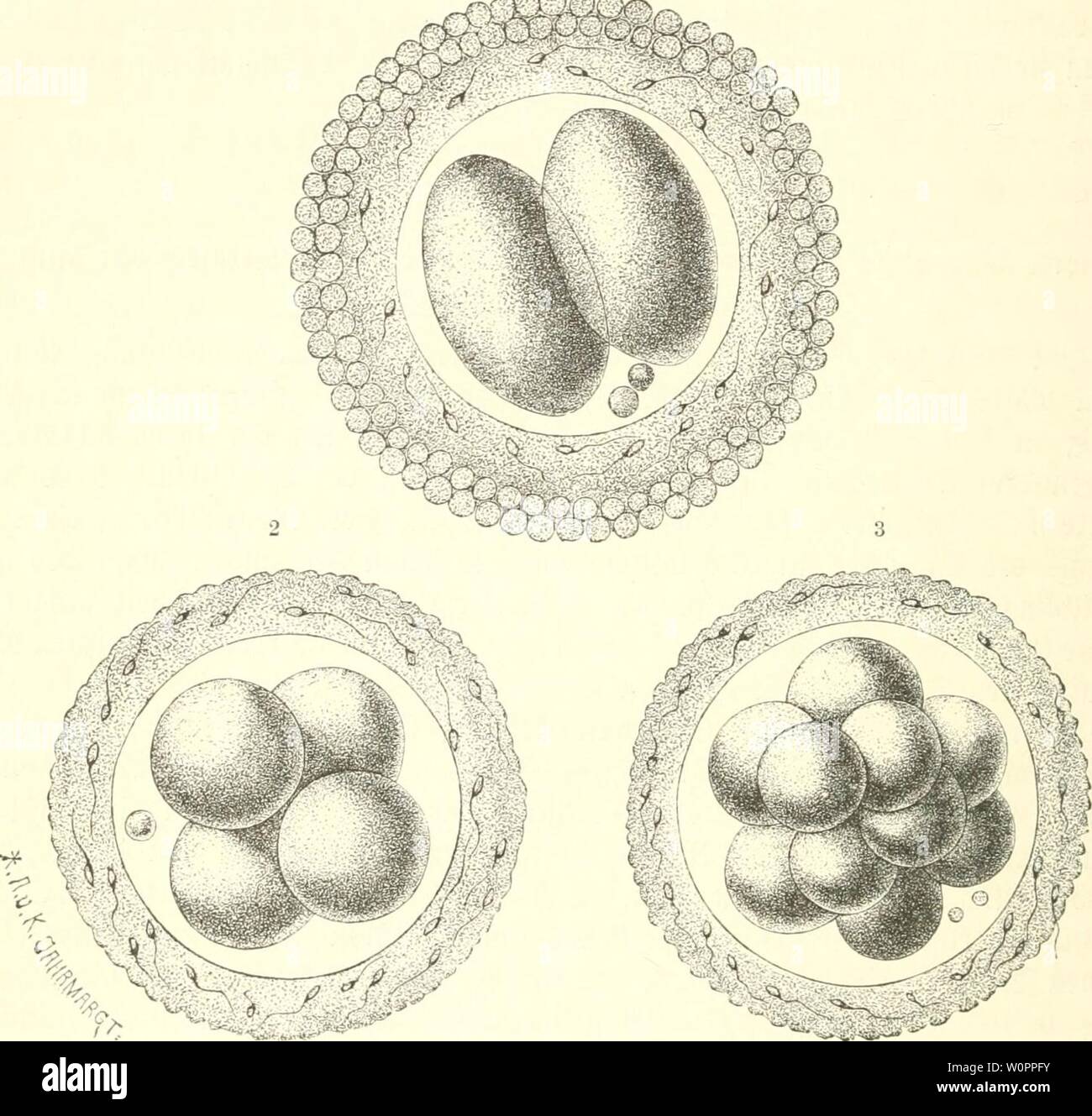 Fi 311 High Resolution Stock Photography And Images Alamy Fi 311 High Resolution Stock Photography And Images Alamy