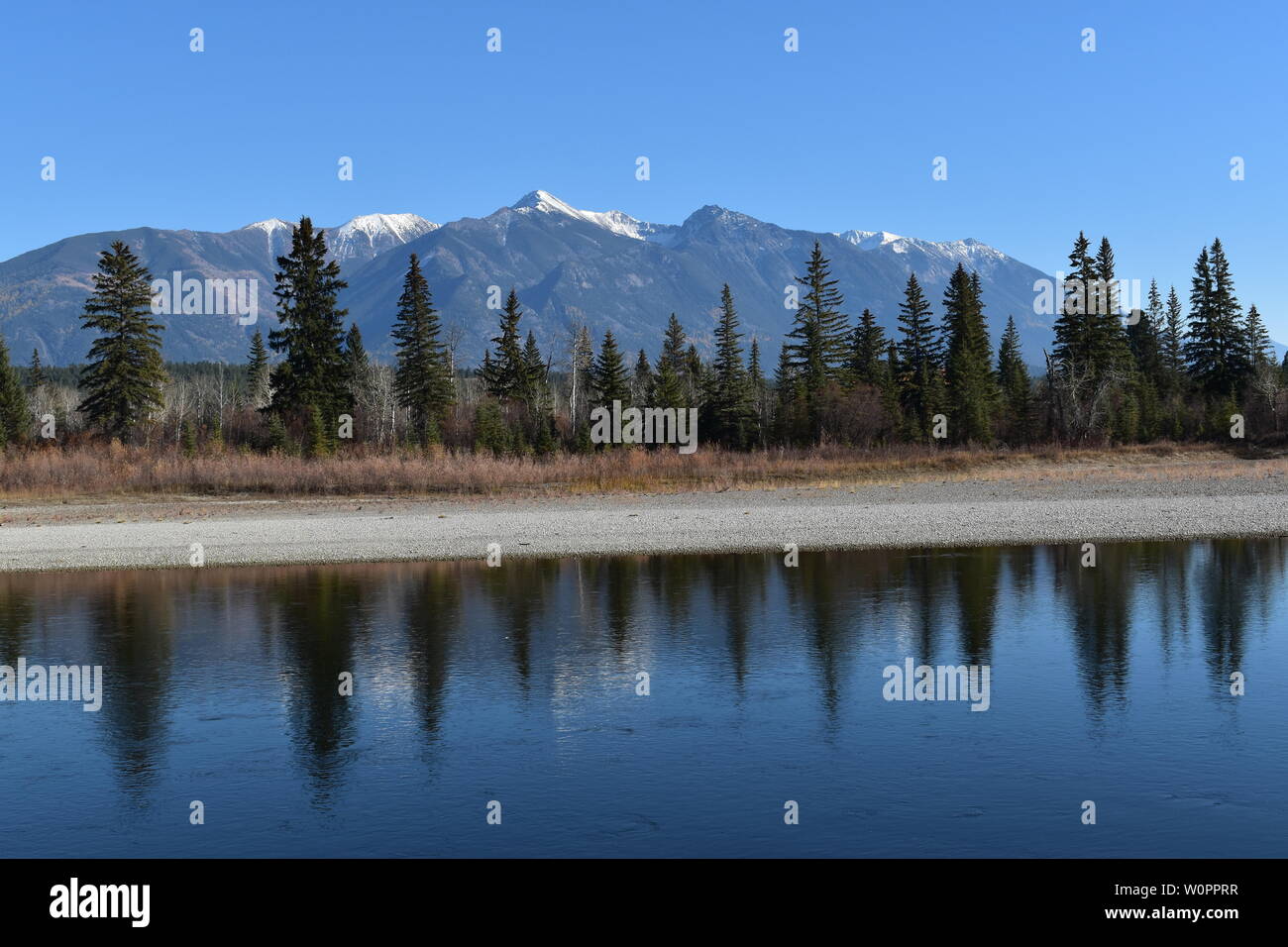 Mountains and trees reflecting in the Kootenay River, BC, Canada Stock Photo
