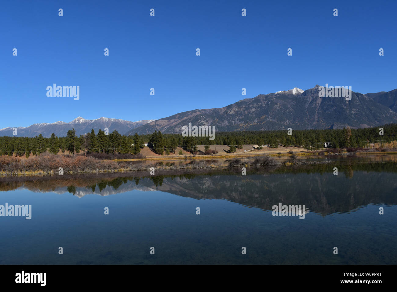 Mountains and trees reflecting in the Kootenay River, BC, Canada Stock Photo