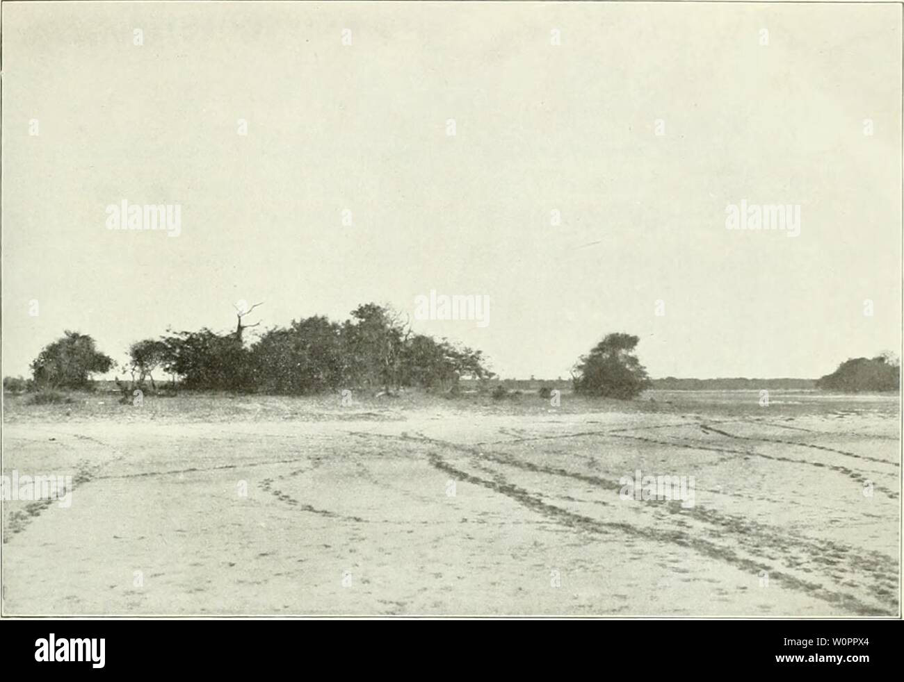 Page 2 116 107 High Resolution Stock Photography And Images Alamy
