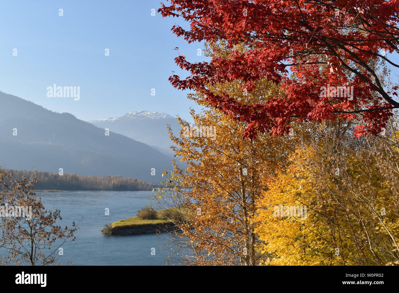 The Columbia River meandering through Revelstoke, BC, on a sunny autumn day Stock Photo