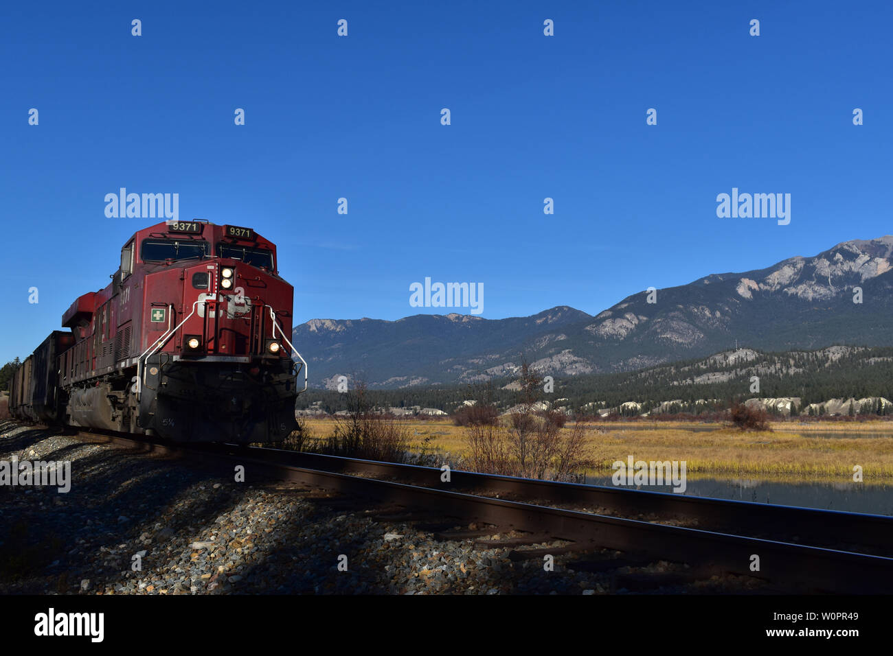 Collins Train