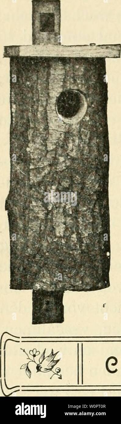 Ad 129 Stock Photos Ad 129 Stock Images Alamy - 
