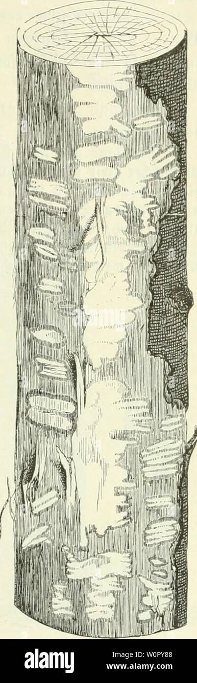 15 42 High Resolution Stock Photography And Images Alamy