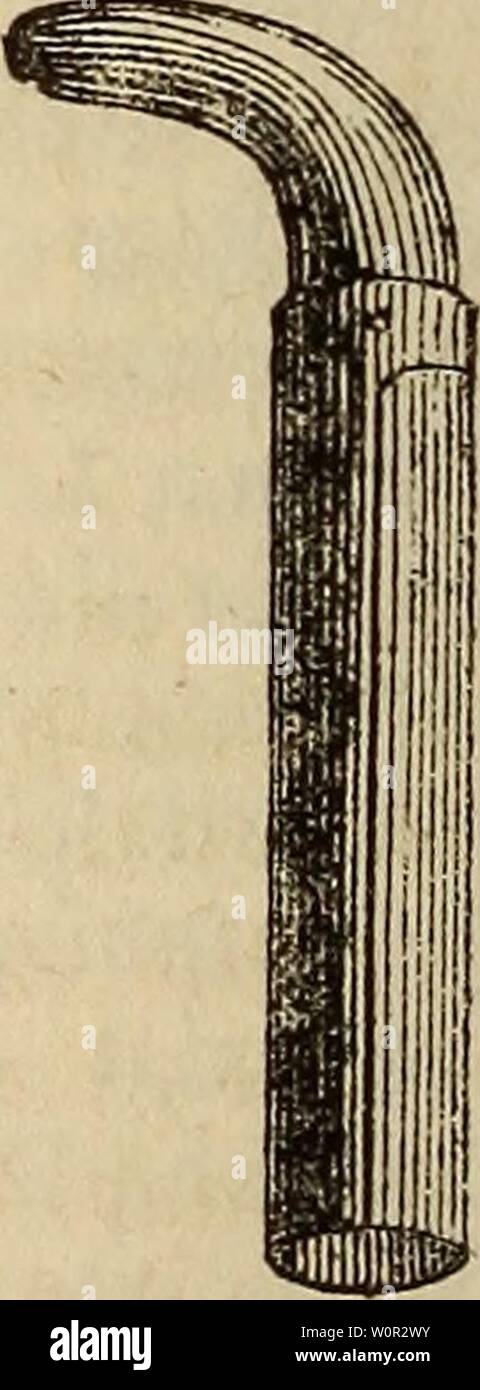 Archive image from page 215 of Der gemüsebau, anleitung zur cultur Stock Photo