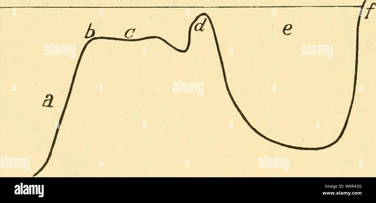 Archive Image From Page 233 Of The Depths Of The Ocean The