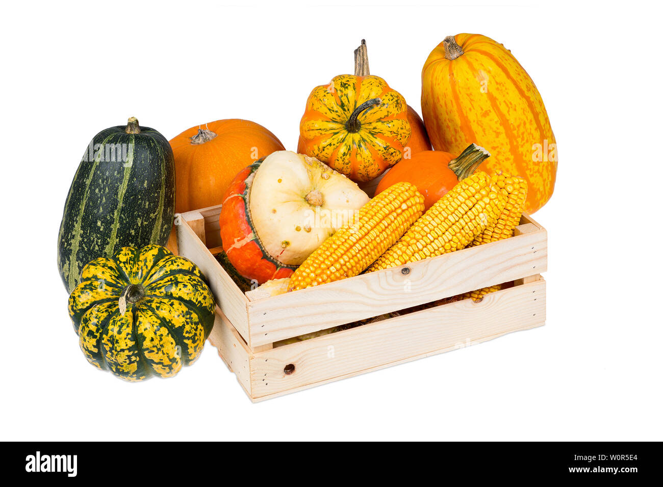 A wooden box with many colourful pumpkins, corncobs isolated on a white background Stock Photo
