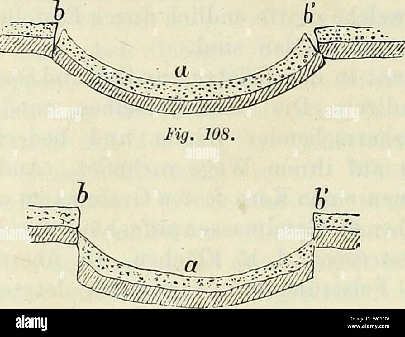 Archive image from page 317 of Der Beobachter; allgemeine Anleitung zu. Der Beobachter; allgemeine Anleitung zu Beobachtungen über Land und Leute für Touristen, Exkursionisten und Forschungsreisende. Nach dem 'Manuel du voyageur', unter Mitwirkung des Verfassers derbeobachterall00kalt Year: 1883  244 BEOBACHTUNGEN UND STUDIEN Fig. 107.    Senkung — oder die höhern Punkte b b' — durch Hebung — ihre Höhenlage geändert haben. Zur Beurtheilung dieser Frage müssen Anhaltspunkte gewonnen werden durch geo- logisches Studium der fc'  Umgegend. Wennz.B. (Fig. 107) die Schich- ten zu beiden Seiten der H Stock Photo