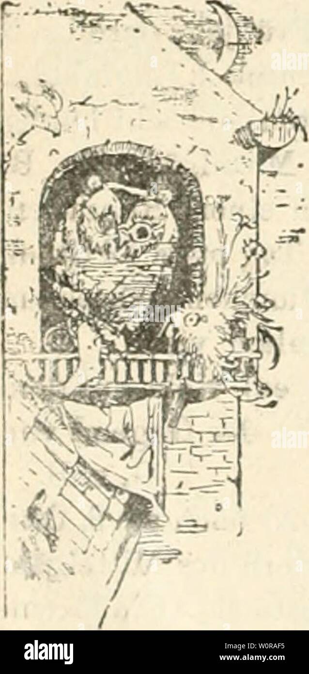 Archive image from page 345 of Der Ornithologische Beobachter (1902). Der Ornithologische Beobachter derornithologisc02alas Year: 1902  S3ß — Grünling (Liguiinus chloris) lockt uoek leb- lialt im ..S.hachen' am S. dies. G. v. B. Distelfink (Carduelis cleguns) seit Anfaiiij;- Okt. in recht grossen Seliaren überall. G. v. B. — Am 11. Okt. bei Worblaufen grosso Scharen. D. Gimpel (P3'rrhala europaea) mehrere bei Kestcnholz am 9. Okt. G. v. B. Ringeltaube (Columba palumbus). Am 1., 2.. ;&gt;., ti. u. y. kleinere Schwärme durchziehender Tauben in hiesiger Gegend. G. v. B. Rebhuhn (Perdix cinerea) n Stock Photo