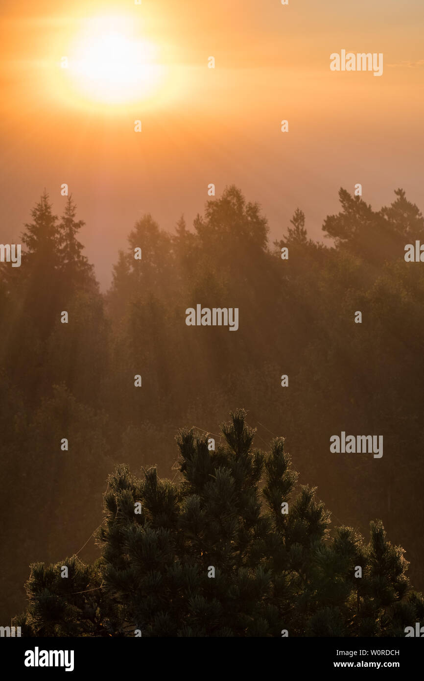 Scenic misty landscape with sunlight haze and light beams at autumn morning in Finland Stock Photo