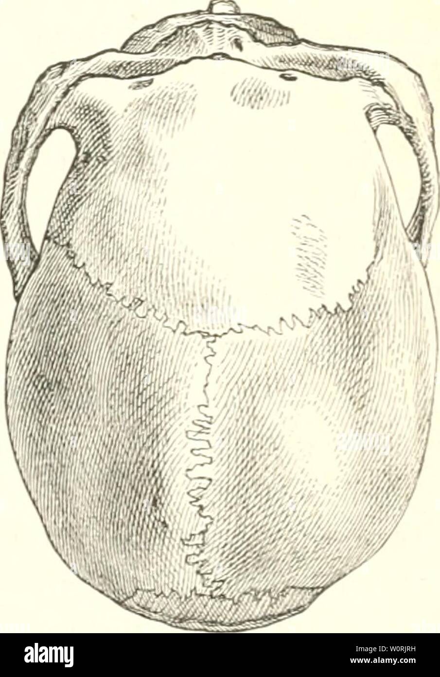 Page 7 Hix High Resolution Stock Photography And Images Alamy Page 7 Hix High Resolution Stock Photography And Images Alamy