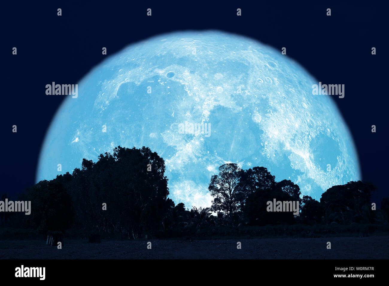 full buck moon on night sky back over silhouette forest, Elements of