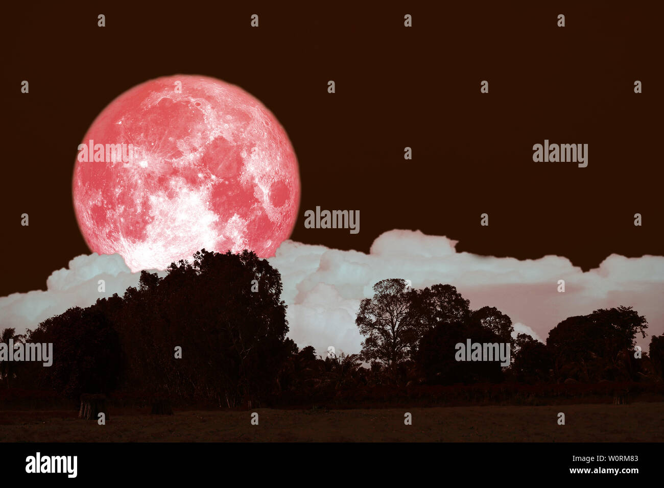 full hay moon on night sky back over silhouette forest, Elements of
