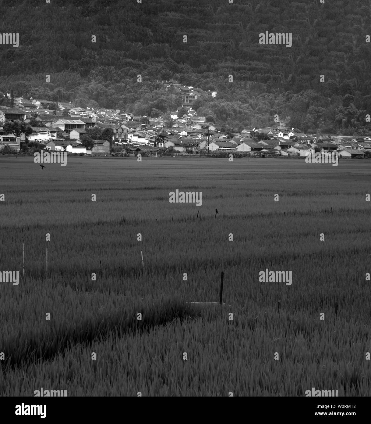 Tengchong mountain village scenery Stock Photo Alamy