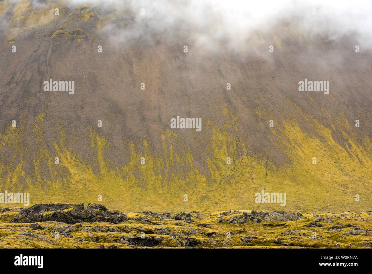 Eldhraun lava field, flow and ridge covered with green moss in Iceland Stock Photo