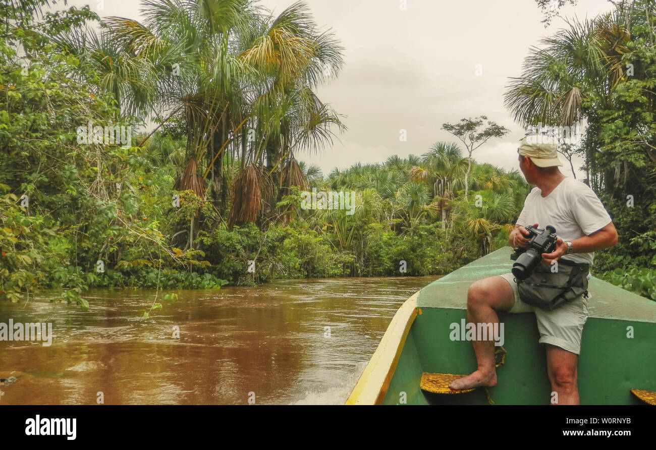Jungle of the Orinoco River in Western Venezuela Stock Photo