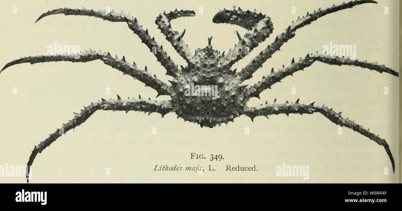 1 349 High Resolution Stock Photography And Images Page 6 Alamy 1 349 High Resolution Stock Photography And Images Page 6 Alamy